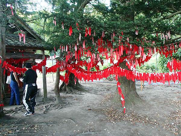 卯子西（うねどり）様